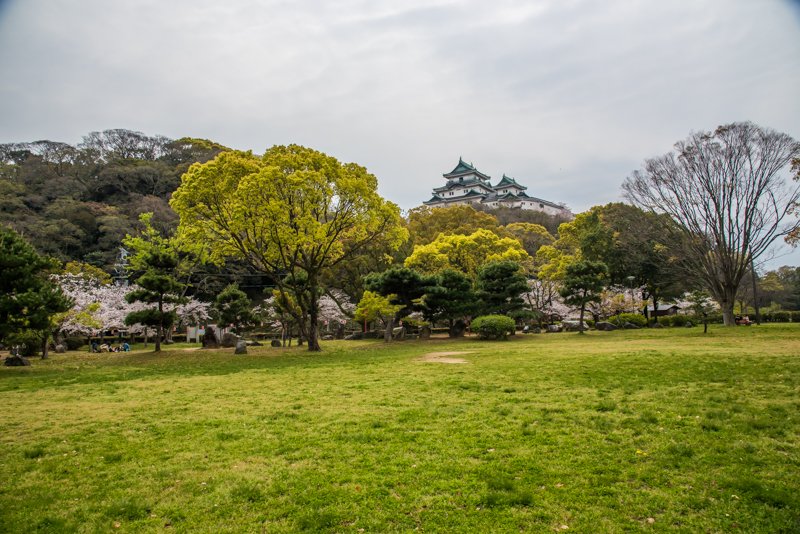 桜の名所でもある「和歌山城公園」